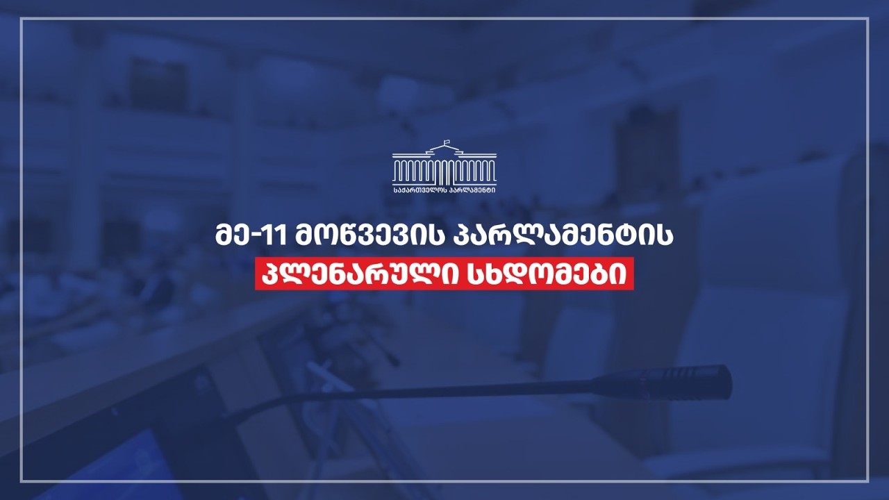 პარლამენტის პლენარული სხდომა - 17.02.2026