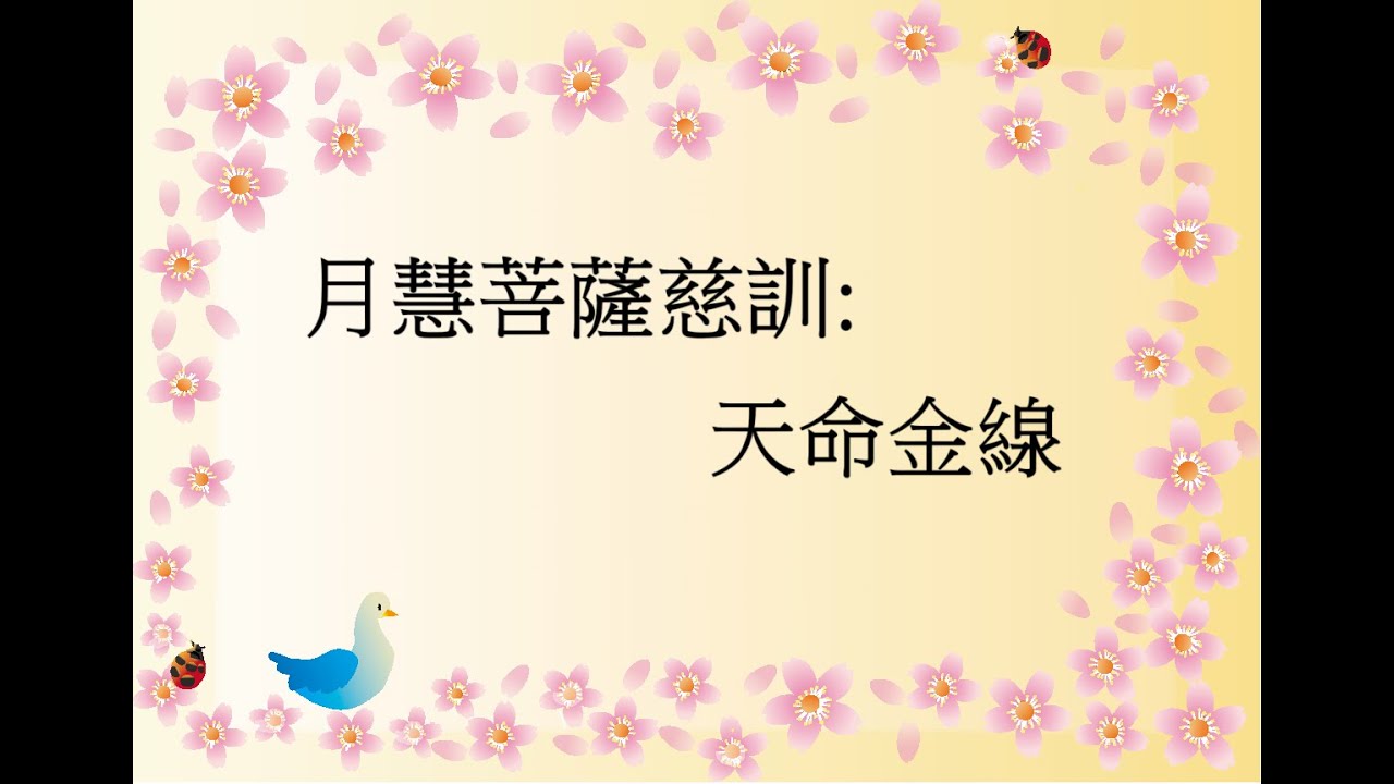 月慧菩薩慈訓:天命金線