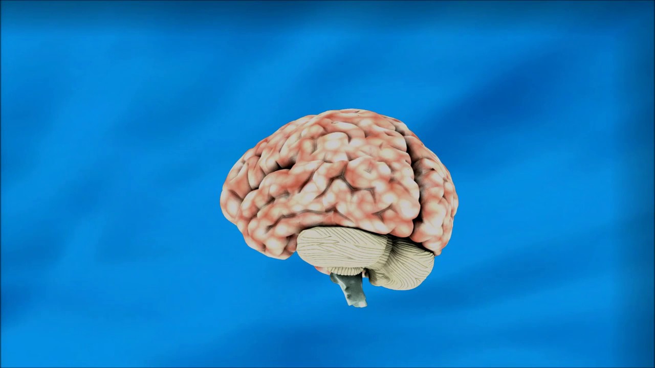 Neurofeedback Nedir, Tedavisi Nasıl Yapılır, Kimlere Uygulanır?