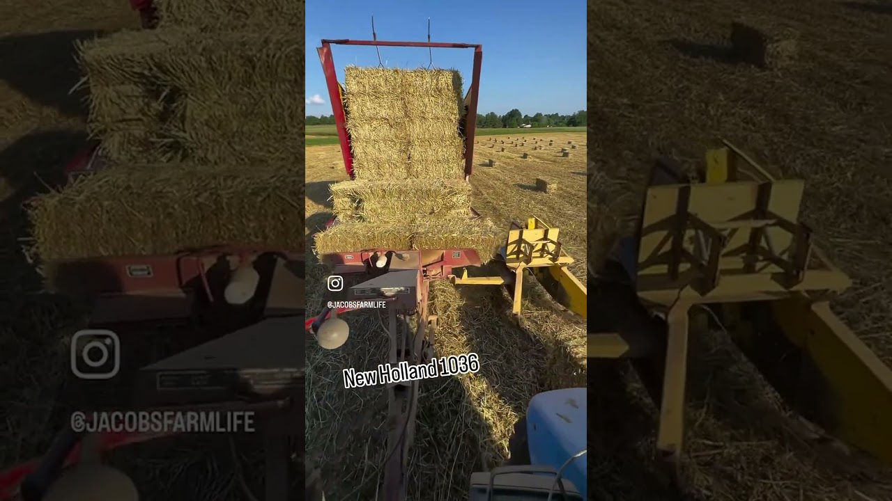 Mastering auto tie on the stackliner for small square bales #farm #farming #farmlife