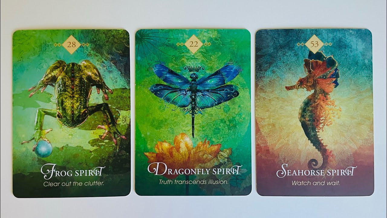 Your Future Spouse Revealed - Pick a Card - Timeless Tarot