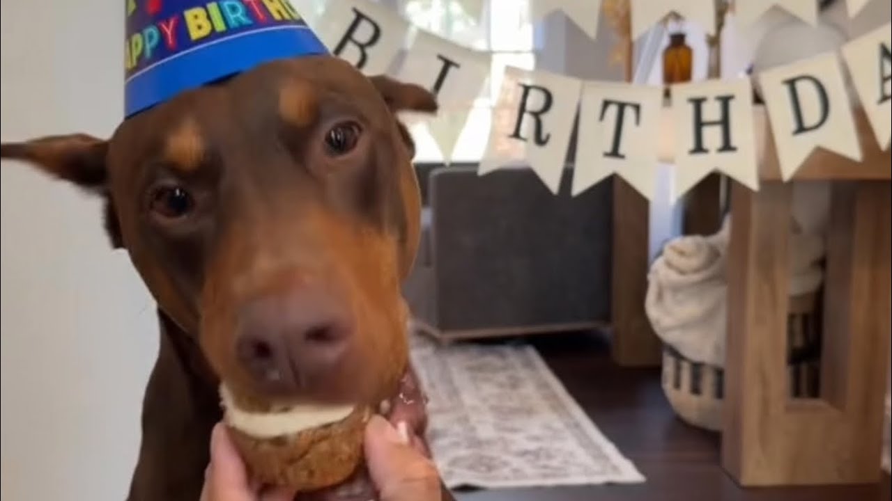 Happy Birthday Knox 🎉🎂🥳🎈🎊