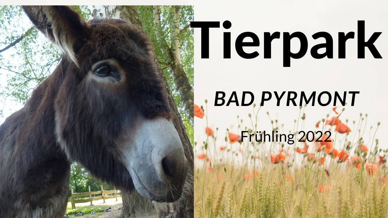 Bad Pyrmont Tierpark 2022