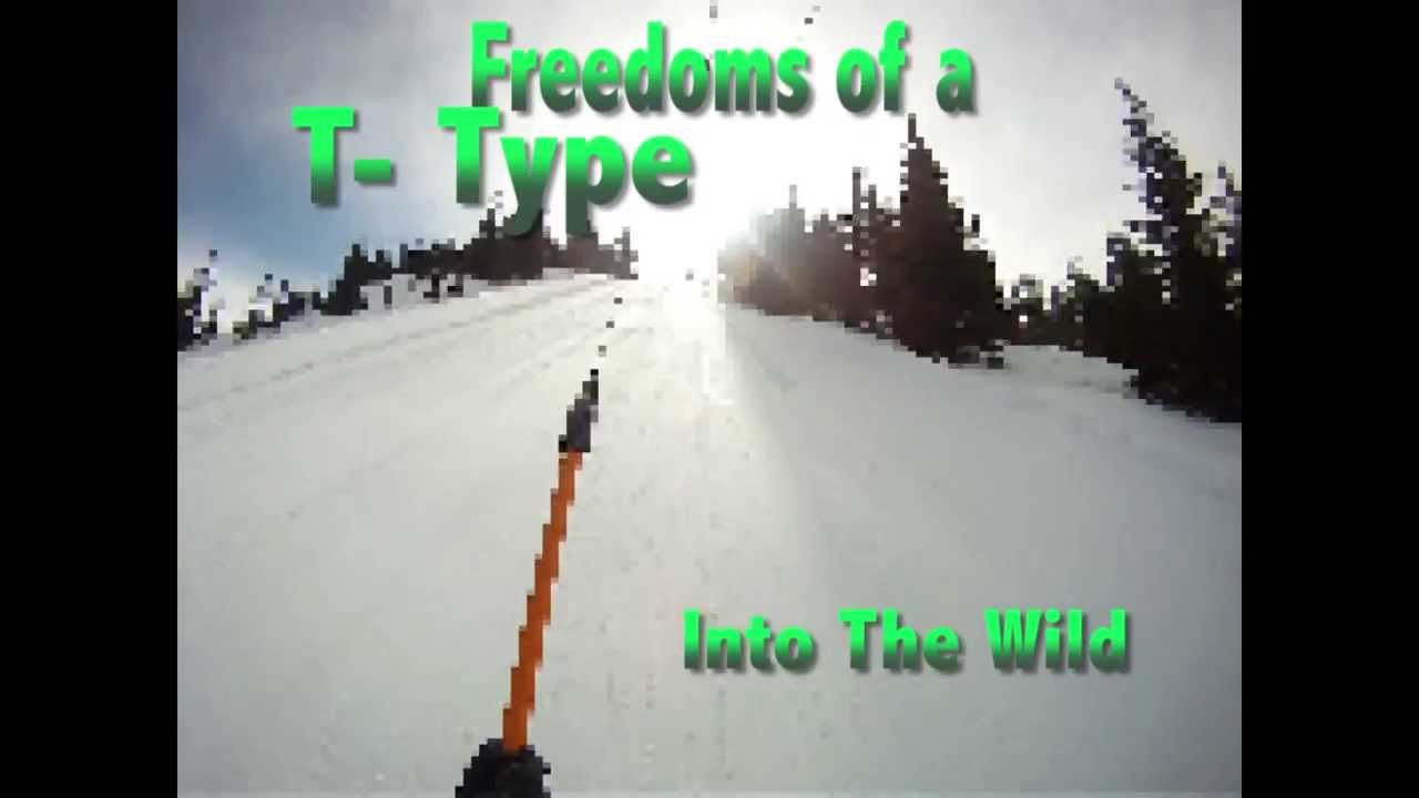 Into The Wild: Freedoms of a T- Type