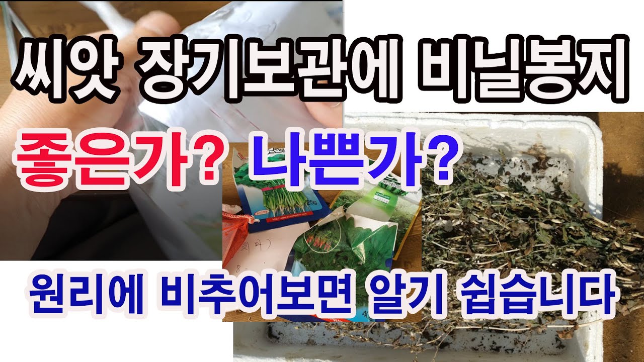 씨앗(종자) 장기보관에 비닐봉지 좋은가 나쁜가. 원리에 비추어 보면 알기 쉽다(씨앗 보관법, 종자 보관법, 씨앗 장기보관, 발아조건 과 휴면 조건 공기, 온도, 습도, 광 조건)