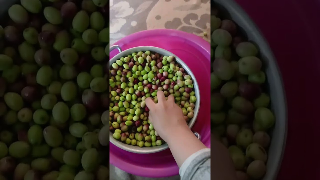 قصة معقدة ولكن حلها حمار 