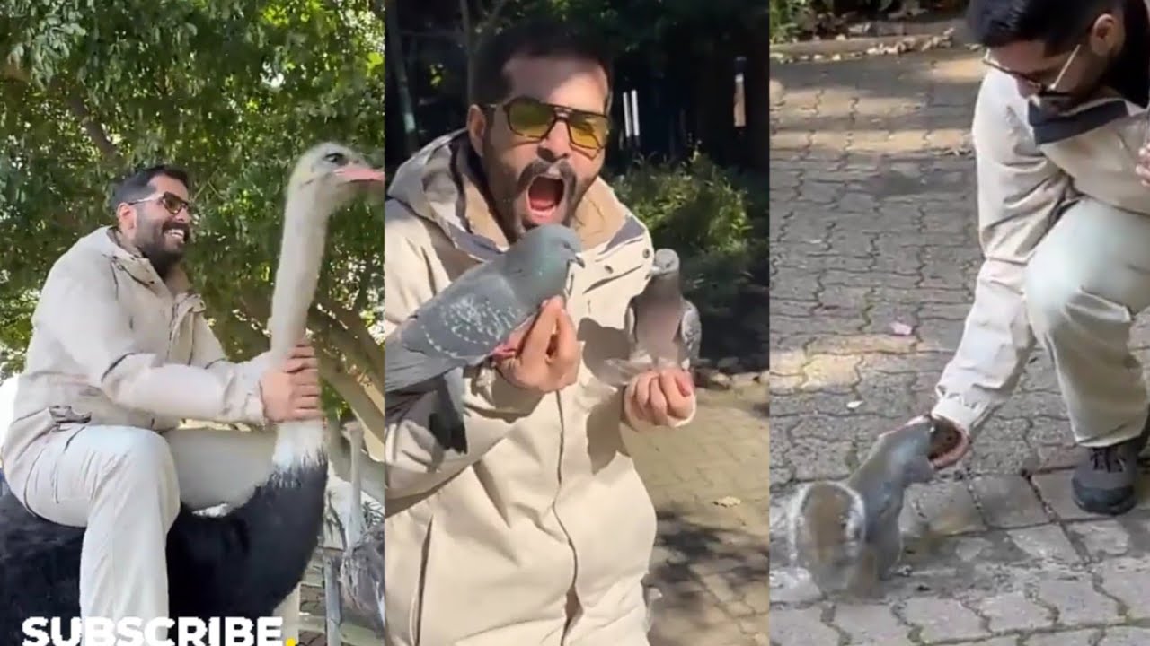 عبدالله الودعاني جولة في مزارع النعام🦢وش معنى نعامة ترفسك😭يأكلهم 🕊🐿عضو يده طلع الدم😱 فيلم مستر اكس 🎬
