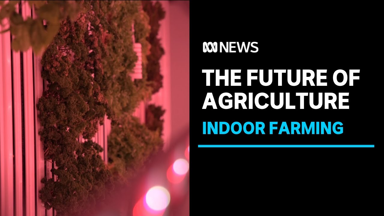 Vertical farming, protected cropping helping farmers adapt to climate change | ABC NEWS