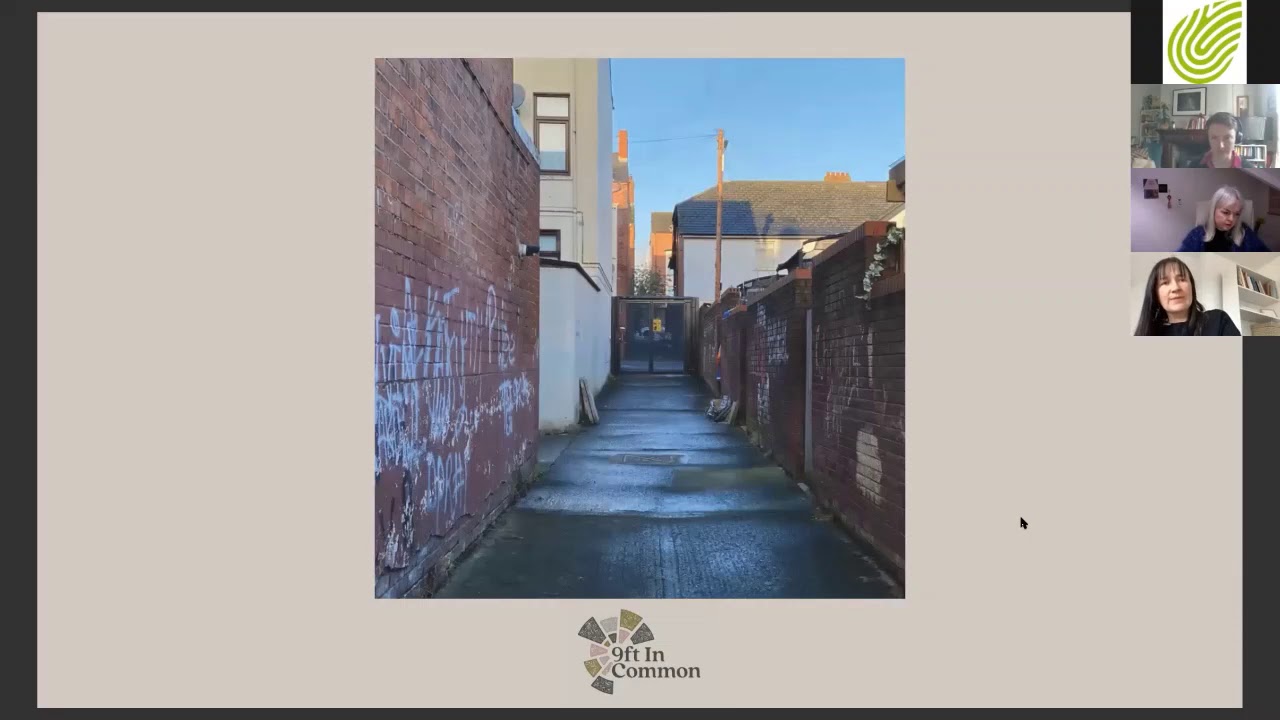 Alleyways Webinar Belfast, NI