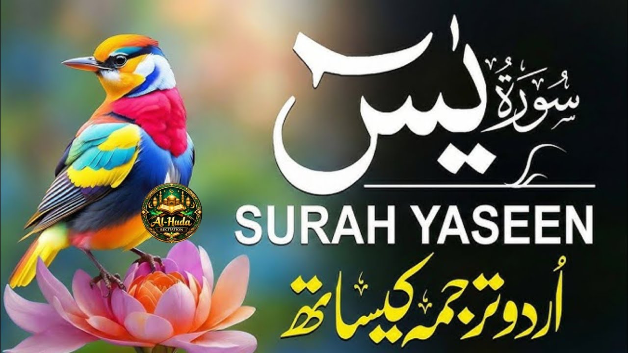 Surah Yaseen Full | Beautiful Quran Recitation | Heart Touching Tilawat | #quranrecitation 