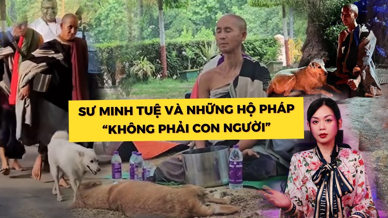 SƯ MINH TUỆ VÀ Bí Mật Về Những 'Hộ Pháp' Không Phải Con Người | Jennie Uyen Chu