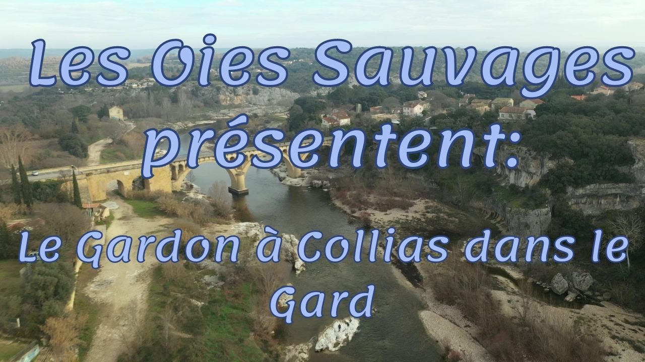 Le Gardon à Collias dans le Gard (30)