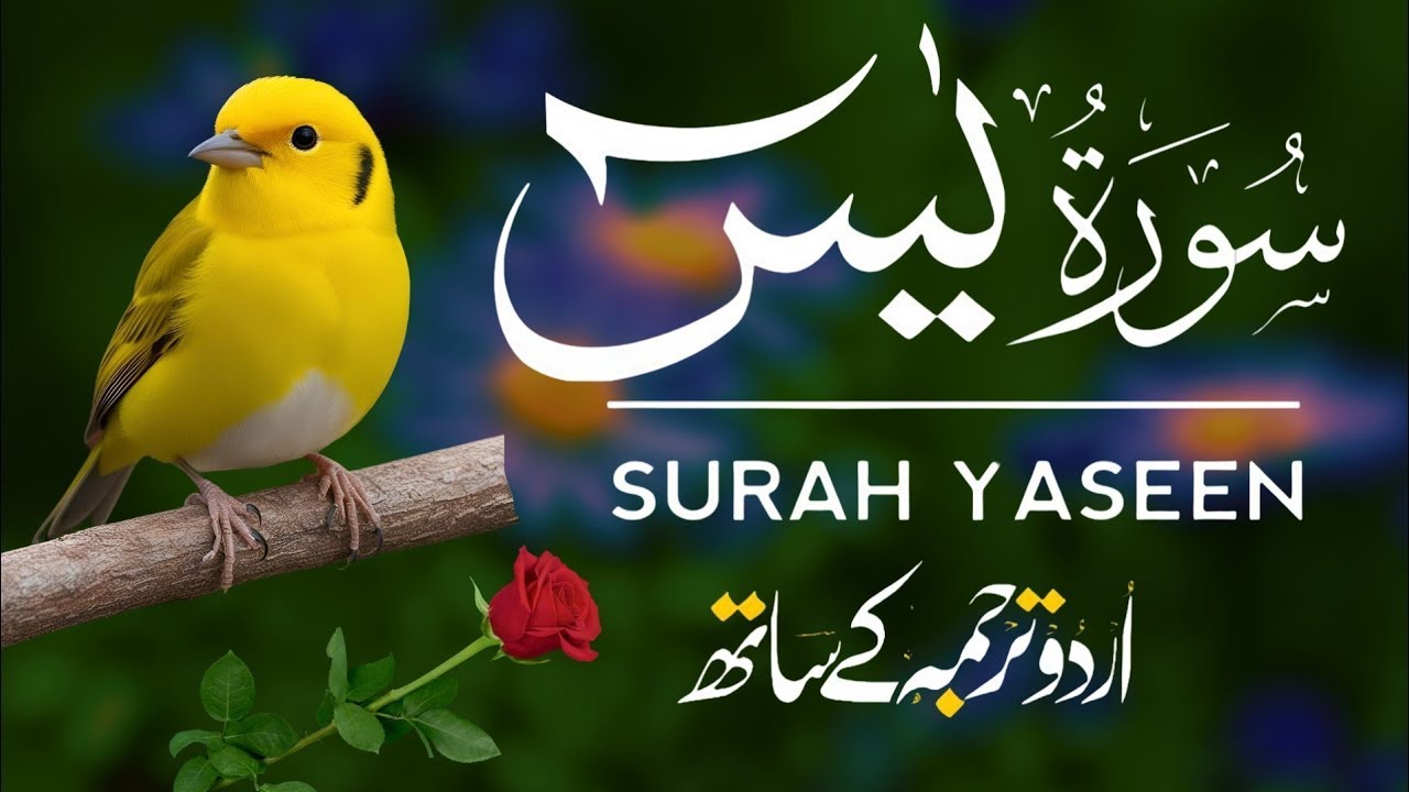 Surah Yaseen | Surah Yaseen With Urdu Translation | Al Furqan Studio | Ep005