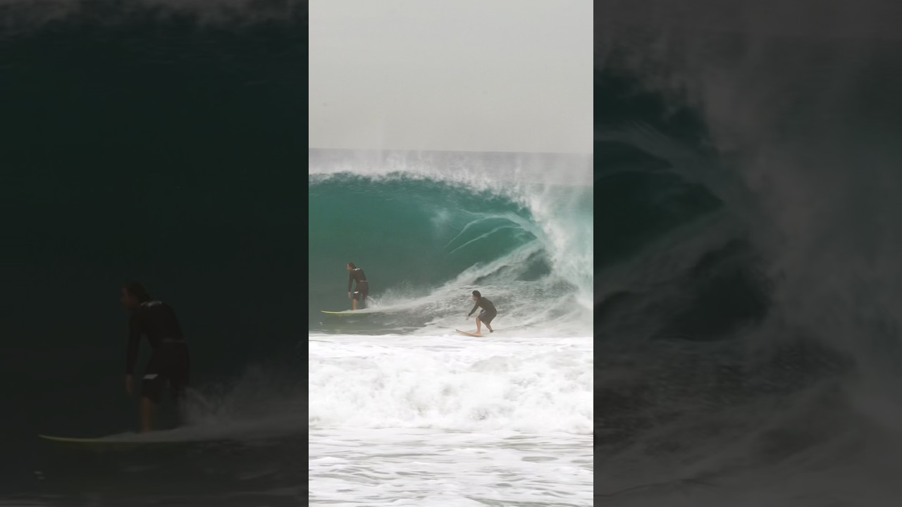 Snaked in Newport Beach