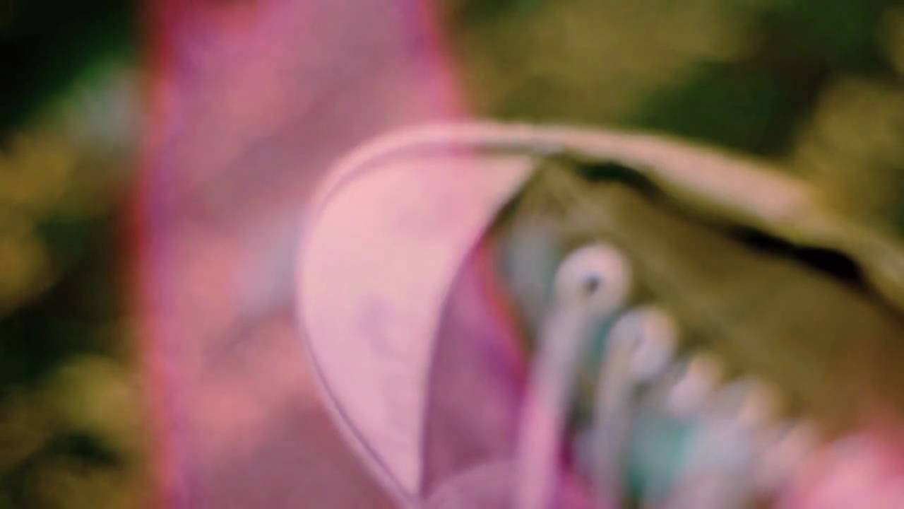 Boards of Canada - Dawn Chorus