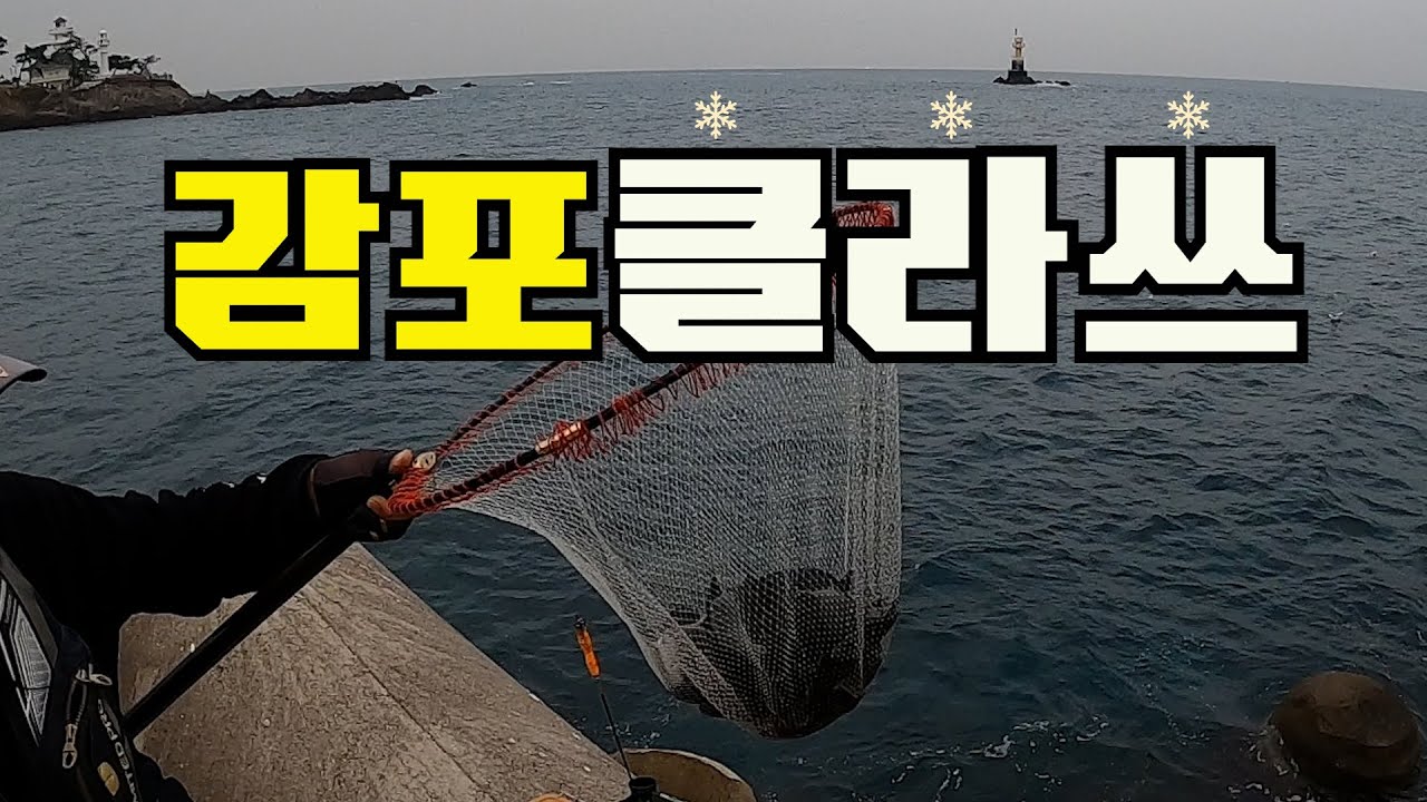 감포바다가 허락한 선물