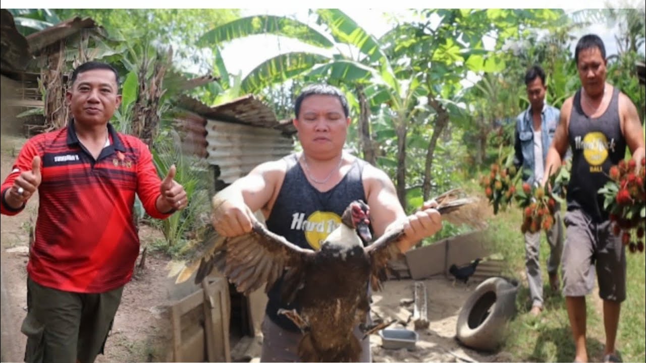 MASAK ENTOK DI KEBON SAMA PAK TNI DARI MABES