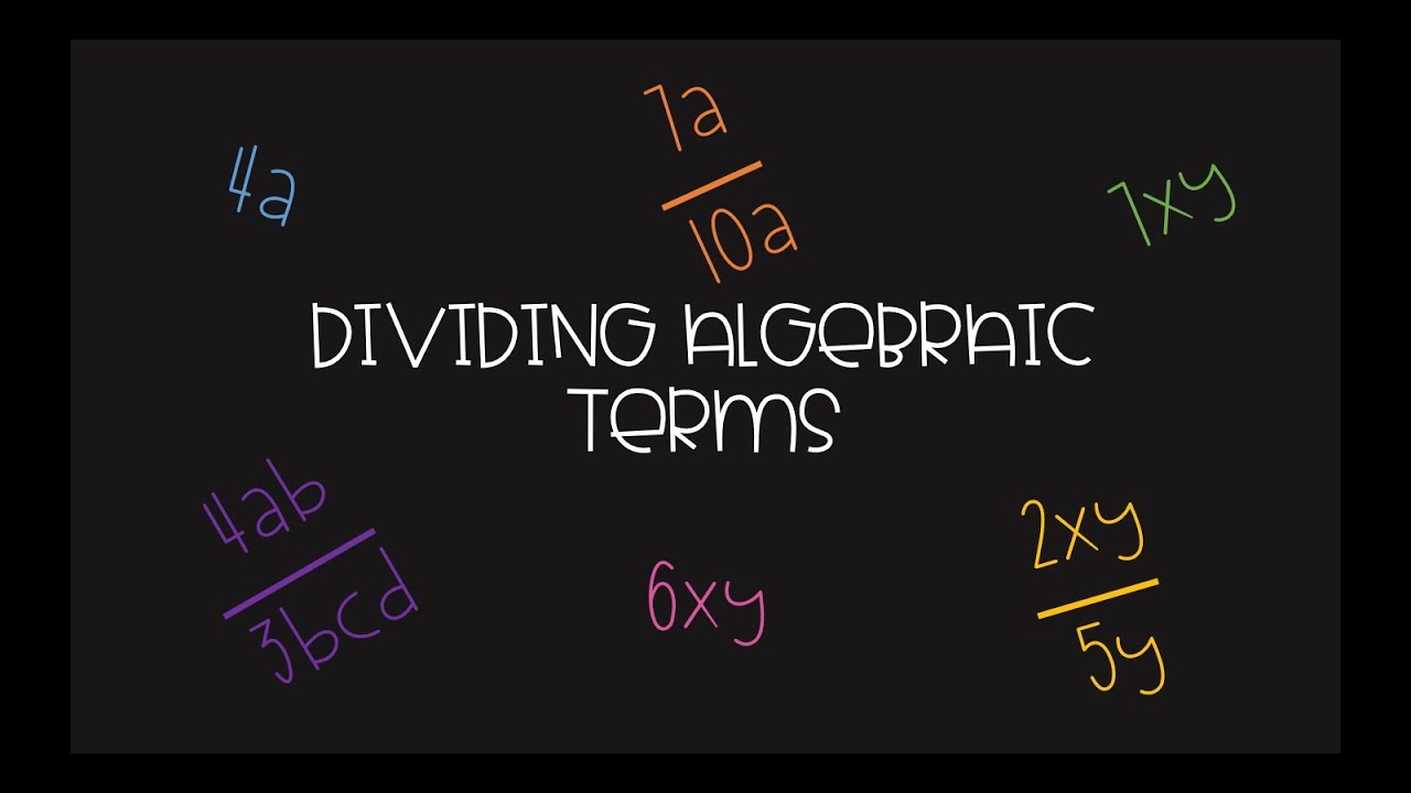 Dividing Algebraic Terms