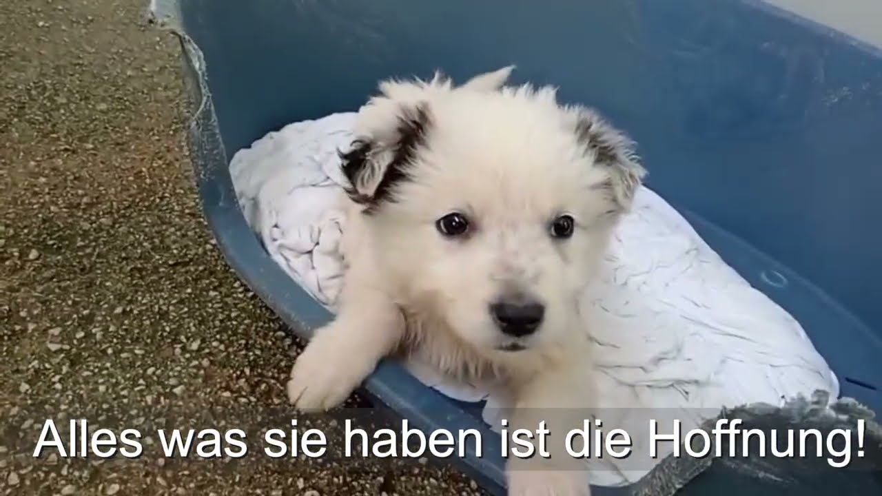 Warum?