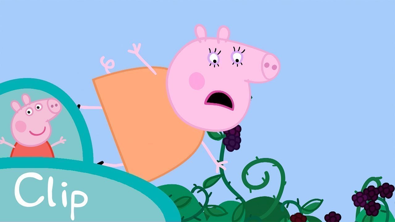 The Blackberry Bush 🫐 | Peppa Pig Official Clip