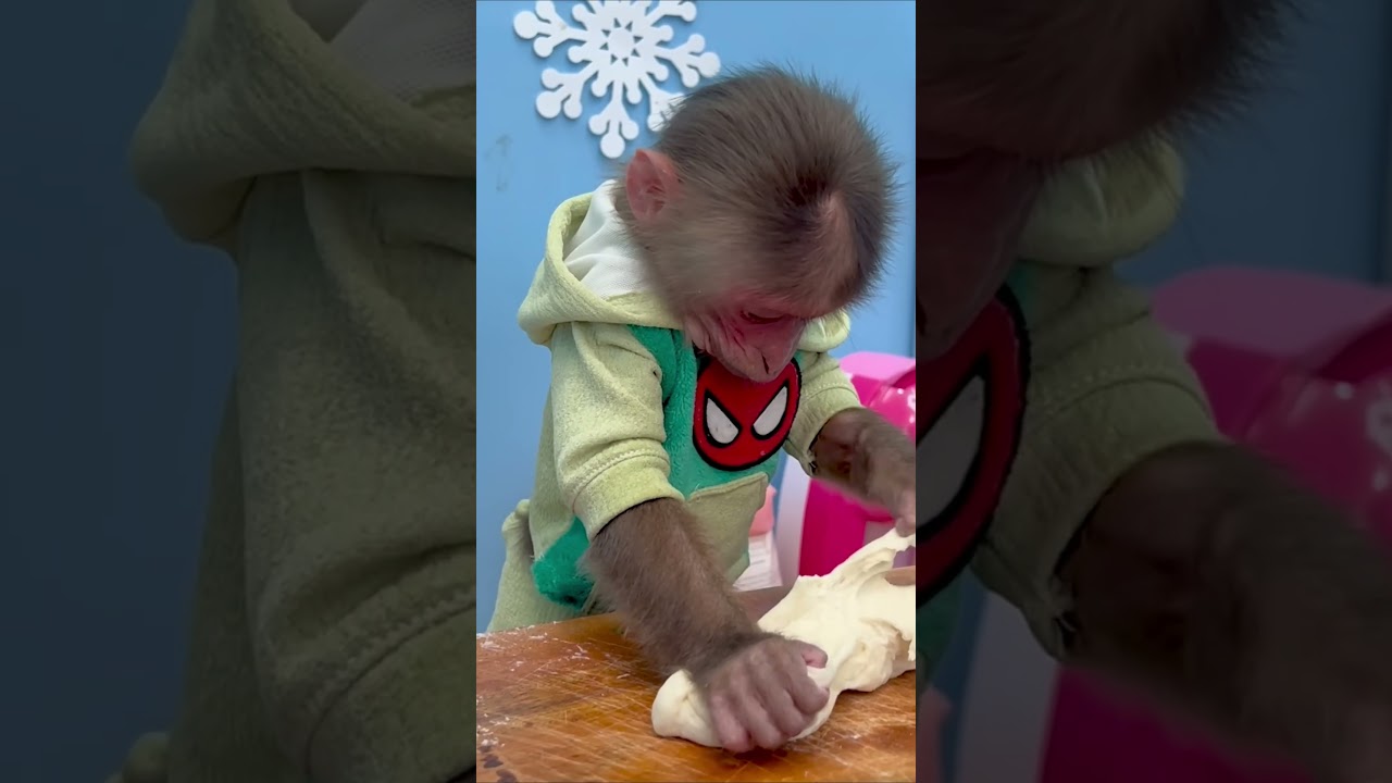 Bibi monkey makes bread for breakfast P2 