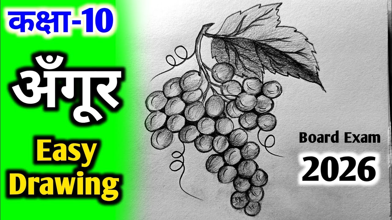 Upboard 2026:अँगूर बनाने का आसान तरीका🔥Grapes drawing easy/ Grapes Drawing class 10/Angoor Drawing