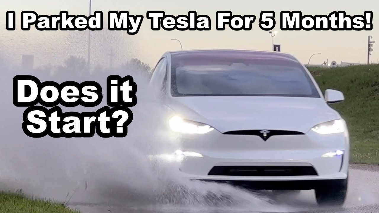 I Parked My Tesla For 5 Months! What Happens?