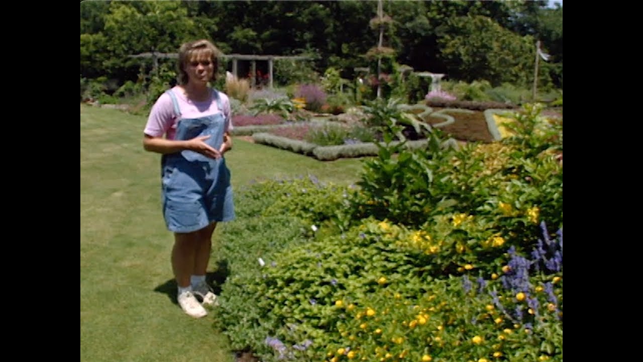 Plants in the Blue & Yellow Garden