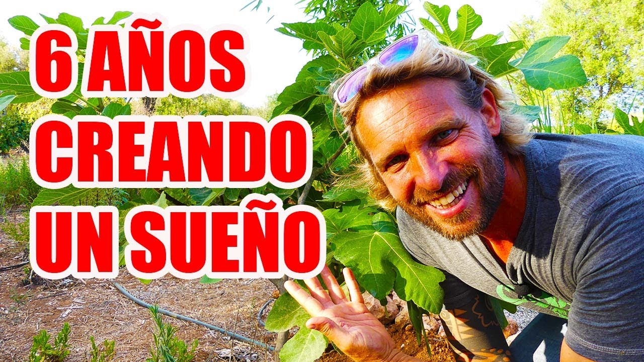 BOSQUE DE ALIMENTOS  DE 5 AÑOS DE EDAD