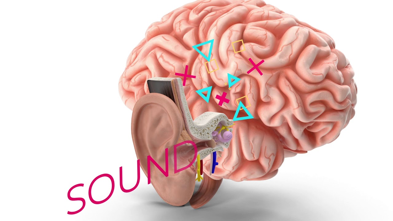 How to Interpret Hearing Test Results