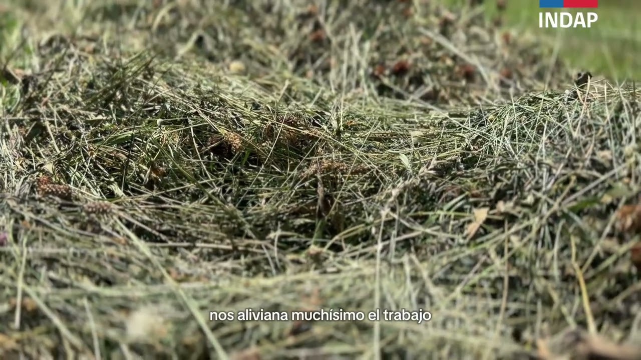 🐐 Ganaderos de Alto Biobío reciben enfardadora para asegurar forraje en invierno