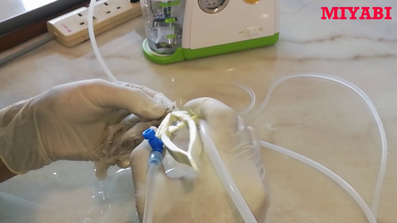 Edible Bird Nest Cleaning Process Instrument