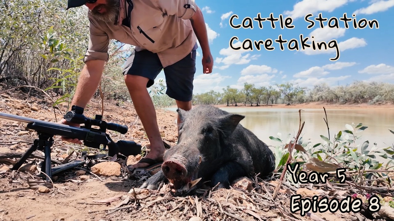 Life as a Cattle Station Caretaker in Queensland | Hunting Feral Pigs
