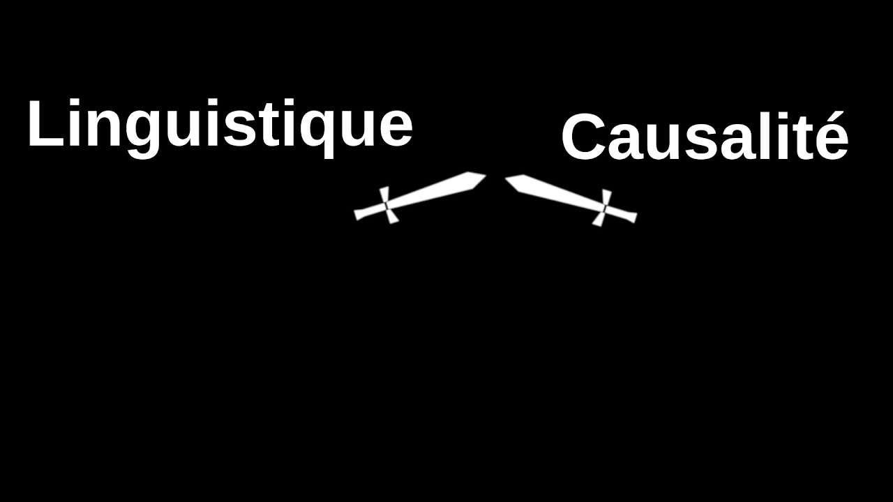 Réponse aux commentaires du débat Causalité VS Linguistique