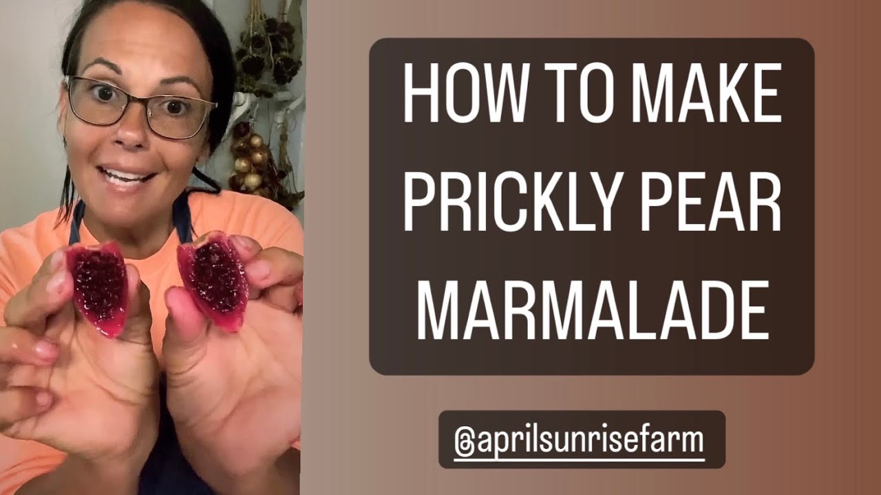 How to make prickly pear marmalade!