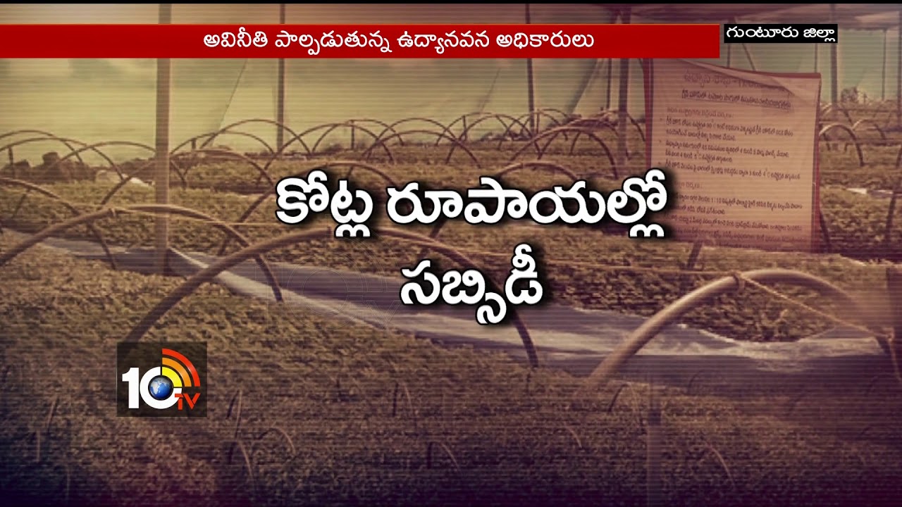 10TV Special Story on Guntur Horticulture Officers Corruption | AP | 10TV