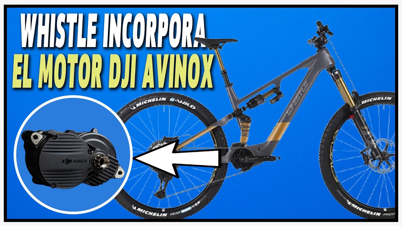 Whistle AXR - eBike con Motor DJI Avinox