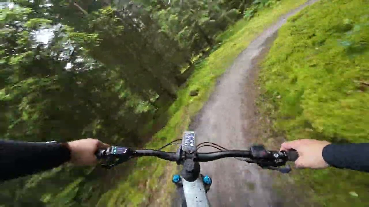MTB Kelstrup skov
