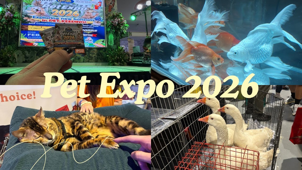 Pet Expo Philippines Day 2 | Walk tour 🐾 | 2026 🌞