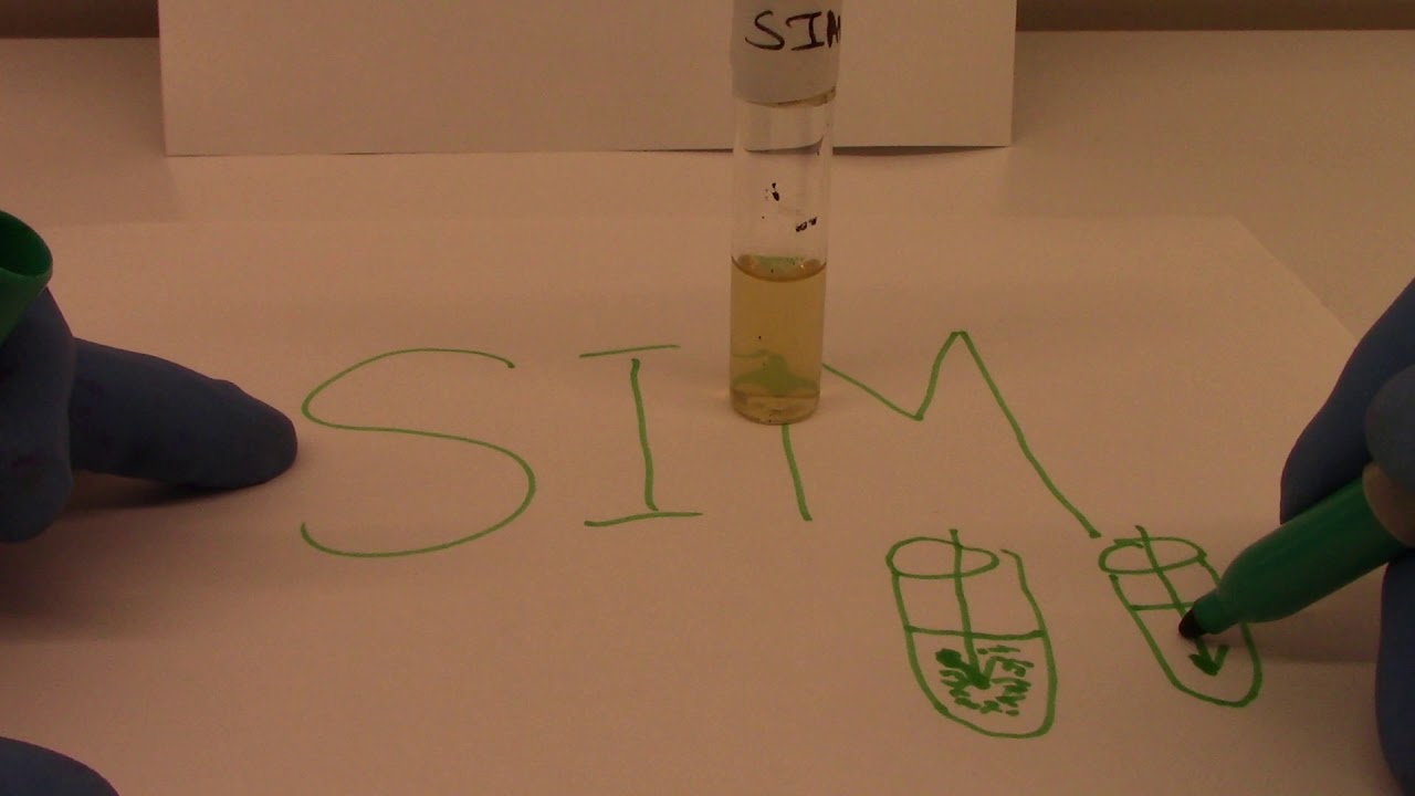 SIM Test - Biochemical Test for Metabolic Capabilities