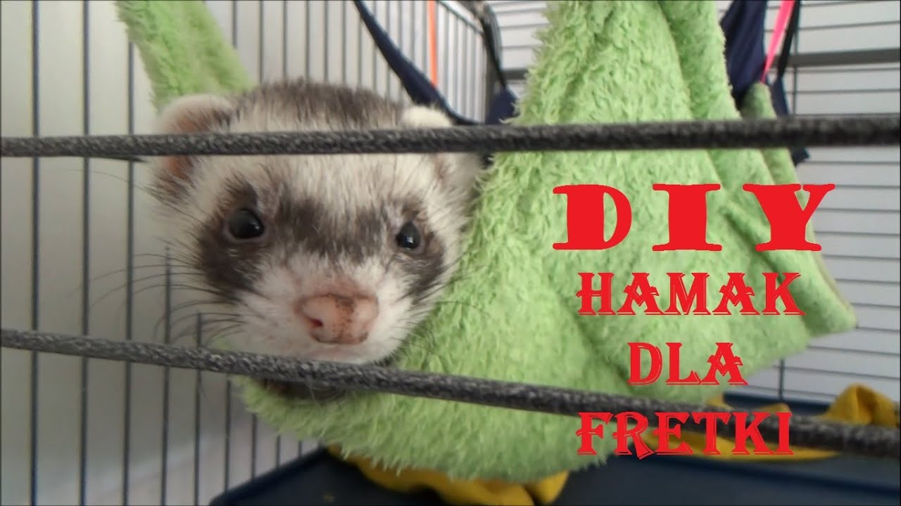 DIY/ZRÓB TO SAM! - Hamak dla fretki