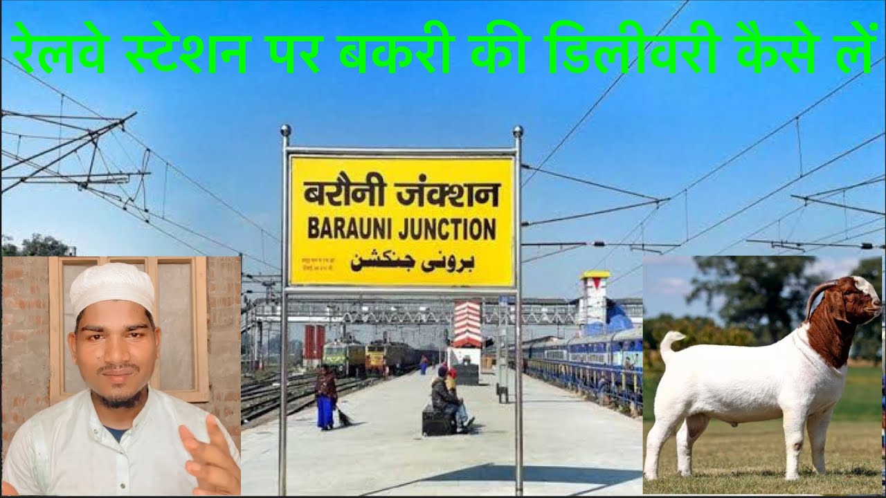 रेलवे स्टेशन पर बकरी की डिलीवरी कैसे लें How to take goat delivery at railway station #goat #railway