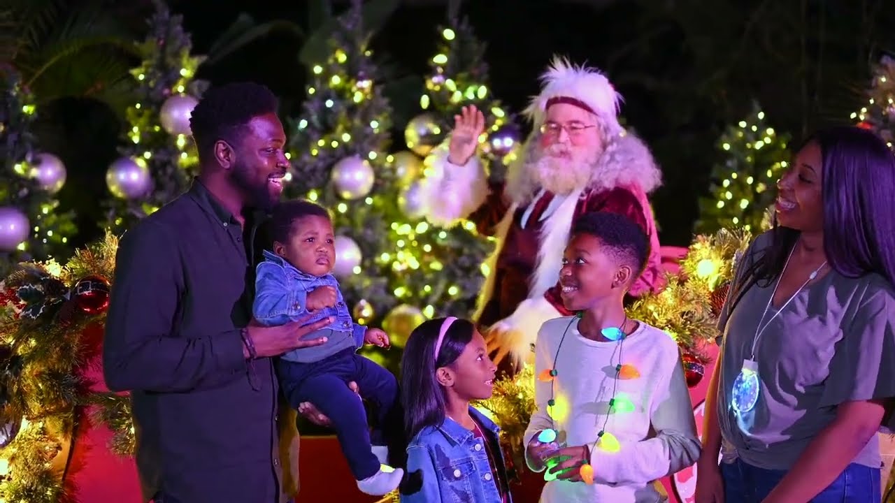 ZooTampa - Christmas in the Wild!