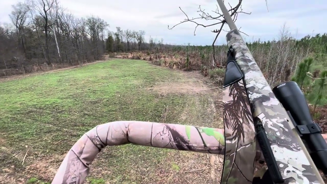 Deer Hunting South Alabama. The rut is close and bucks are moving.