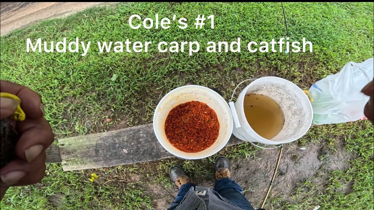 Cole’s #1 ￼ Muddy water carp and catfish 