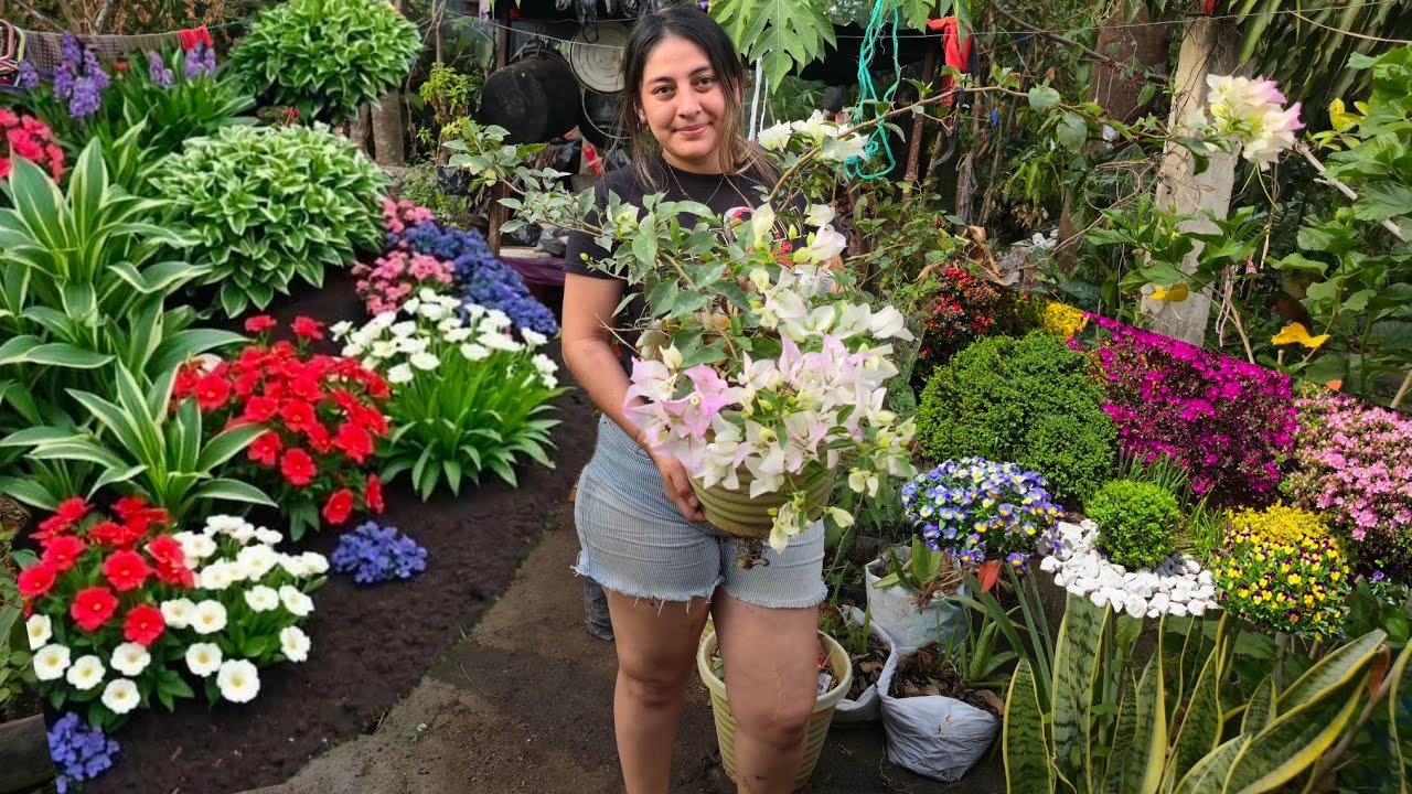 👌😲No creerás cómo quedó el jardín después de limpiarlo🤭😱