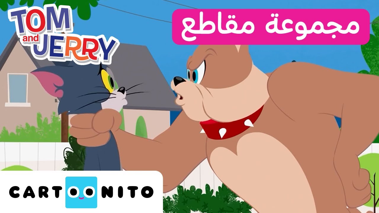 توم وجيري | مجموعة من المقاطع المميزة: سبايك ضد توم | كارتونيتو