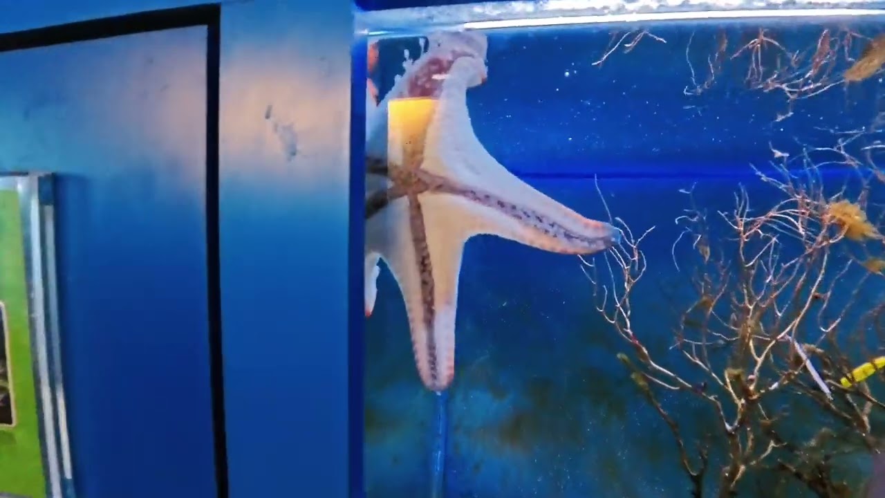 高雄澄清湖海洋奇珍園