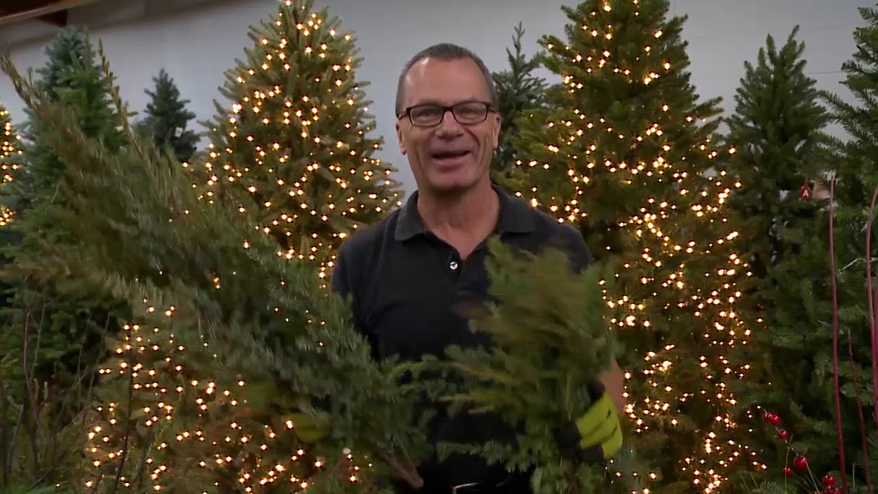 Think Outside the Box....Christmas Season Window Boxes