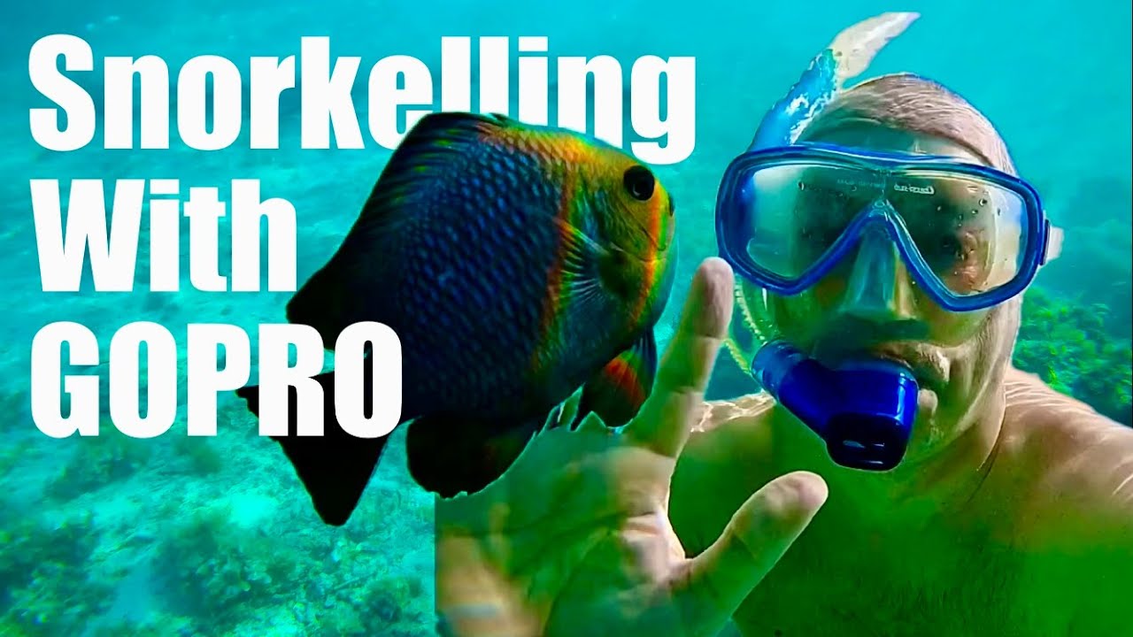 Snorkelling with the GoPro Hero 4K action camera review - link below.